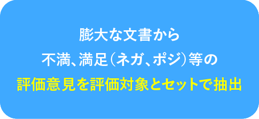 膨大な文書から不満、満足（ネガ、ポジ）等の評価意見を評価対象とセットで抽出