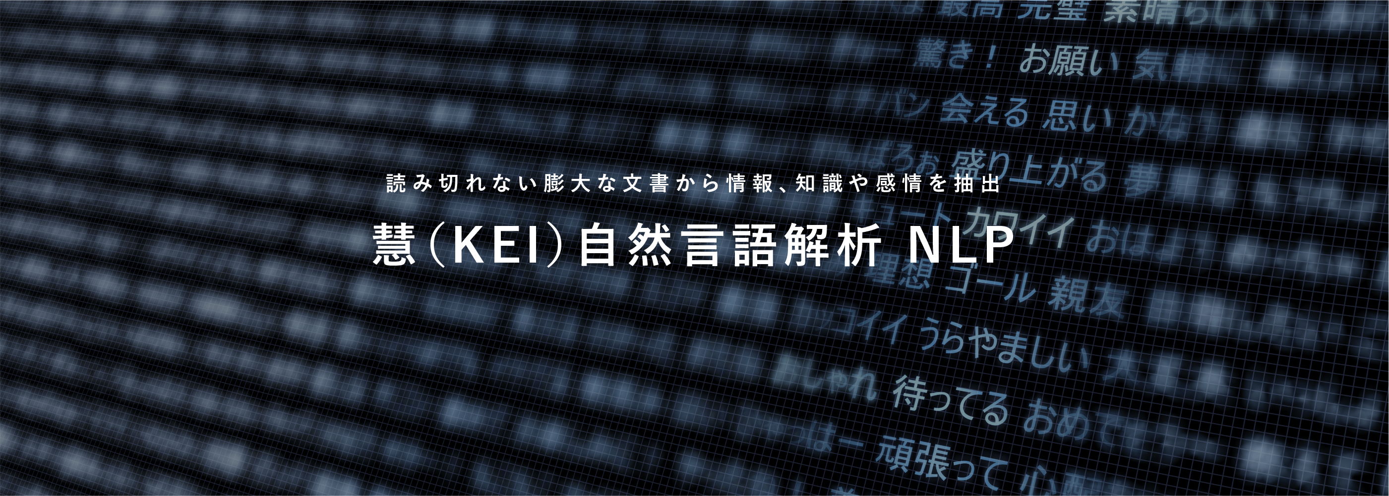 読み切れない膨大な文書から情報、知識や感情を抽出、慧（KEI）自然言語解析 NLP